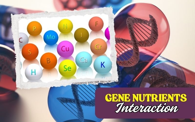 Eat for Your Genes