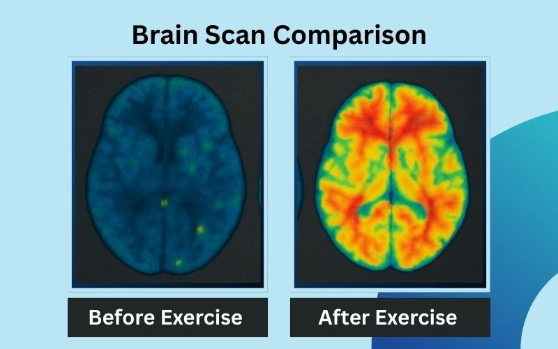 Mental Health