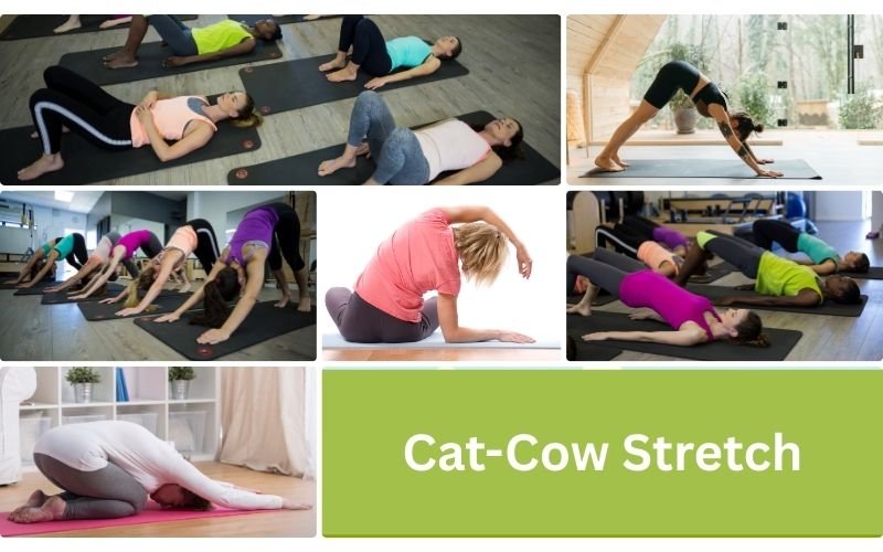 Gentle Full-Body Stretches