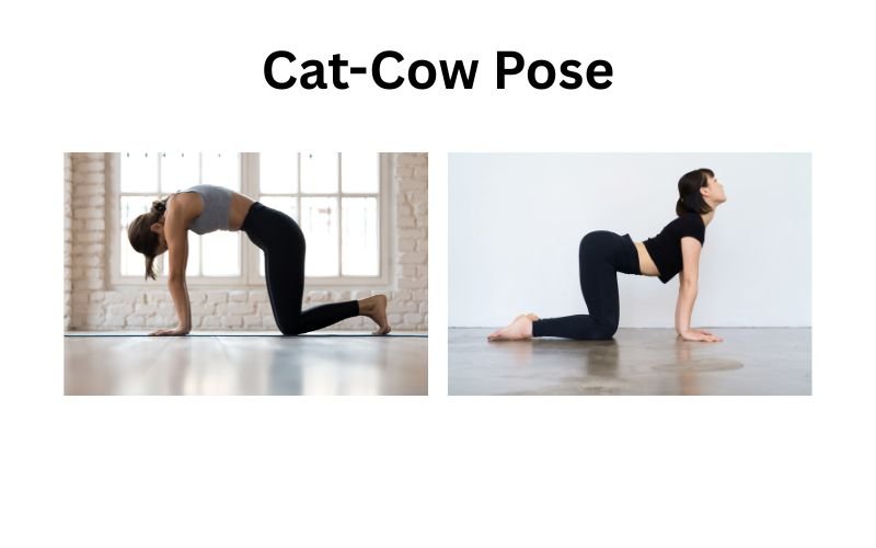 Morning Shoulder Openers