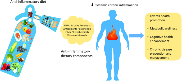 Overview of anti-inflammatory diets and their promising effects on non-communicable diseases | British Journal of Nutrition | Cambridge Core
