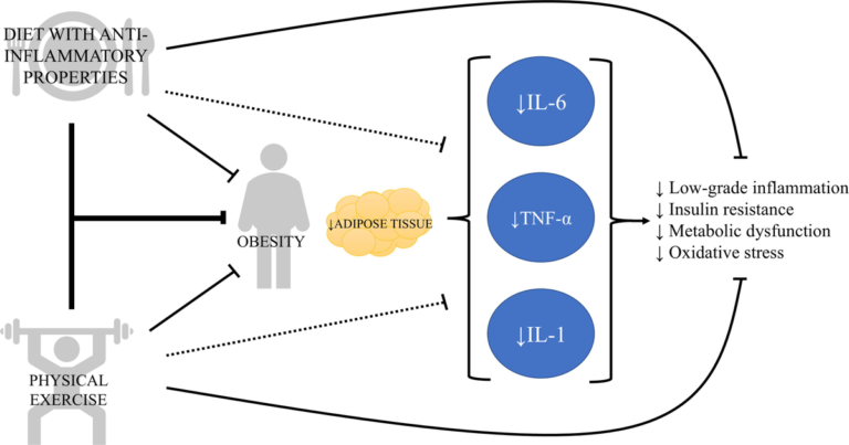 Frontiers | The role of exercise and nutrition in modulating inflammatory cytokines activity for obesity management