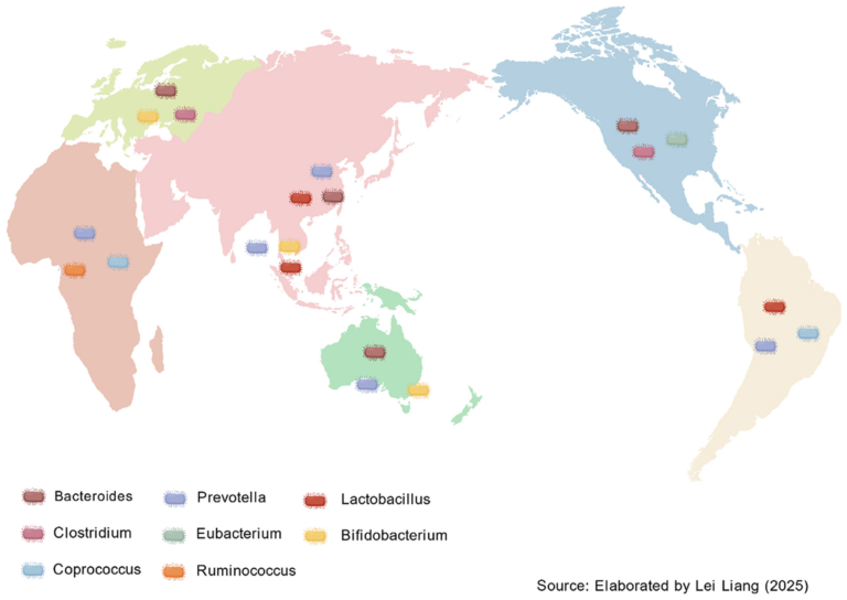 Frontiers | The ethnicity and gut microbiota hypothesis: analyzing multifactorial interactions and their health implications