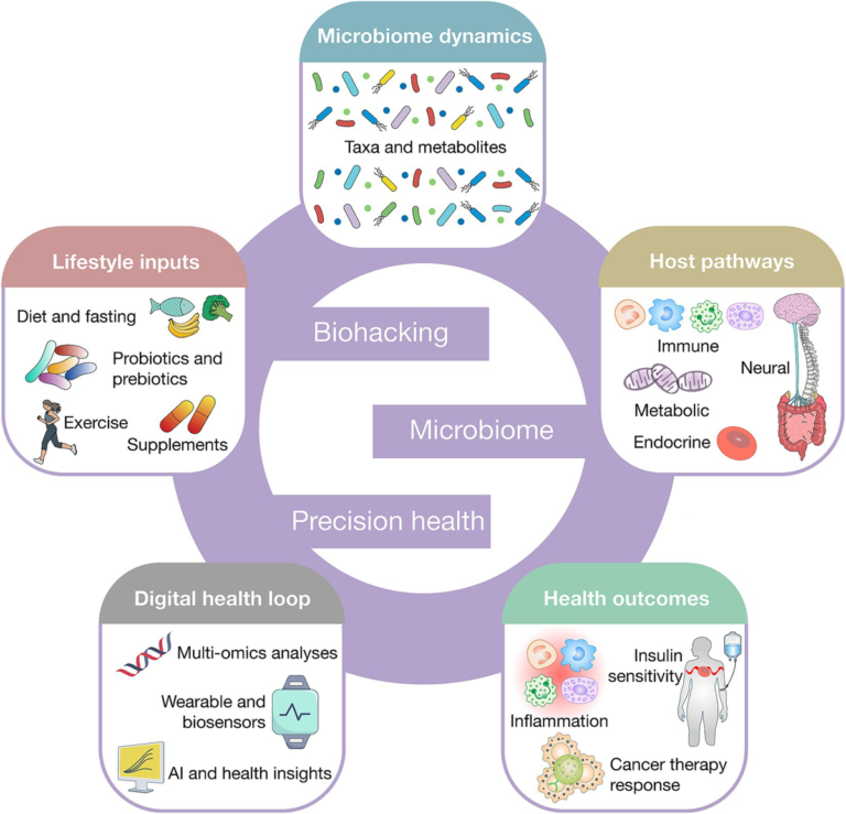 Frontiers | Biohacking the human gut microbiome for precision health and therapeutic innovation