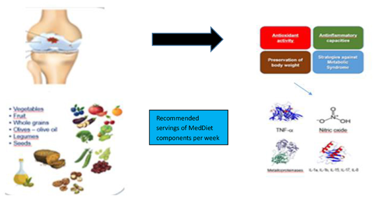 Frontiers | Genetic factors may load the gun, but environmental factors pull the trigger: MedDiet and DII in rheumatoid arthritis