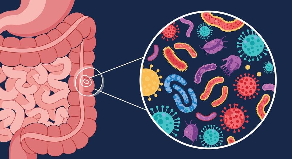 Illustration of human intestines featuring a magnified view showing various types of cartoon-style bacteria, representing the gut microbiome.