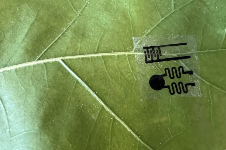 Plants Get Wearables to Track Their Health