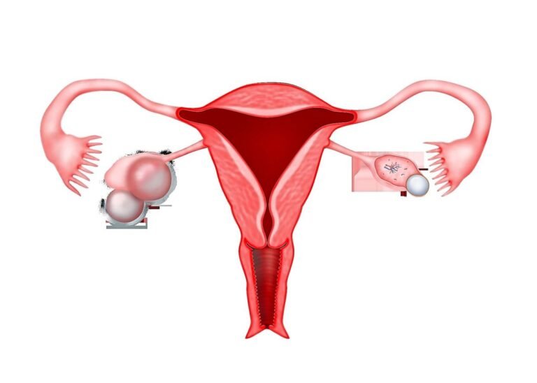 AI-driven hormone tracker to help women recognise something is wrong