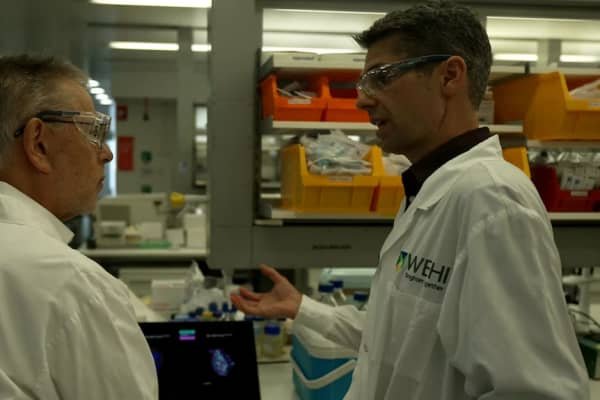 Daniel Gray (right) says there is still a lot we don't know about the thymus.