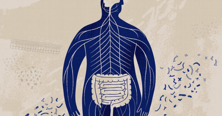 High-fat diets cause gut bacteria to enter brain, Emory study finds High-fat diets cause gut bacteria to enter brain, Emory study finds