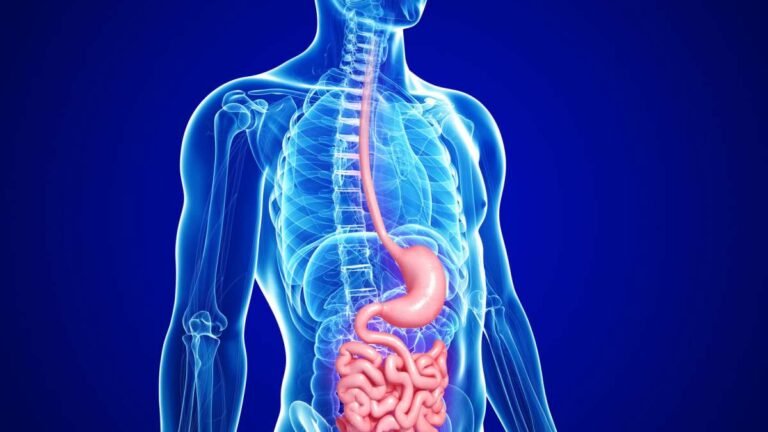 Sharing lives, sharing gut microbiomes Sharing lives, sharing gut microbiomes