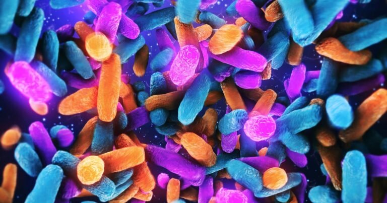 ‘Informing the development of next-gen probiotics’: Study explores how microbiome biotransforms phytonutrients ‘Informing the development of next-gen probiotics’: Study explores how microbiome biotransforms phytonutrients