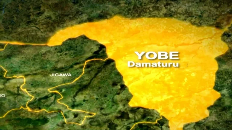Yobe govt upgrades health centre to fully fledged General Hospital