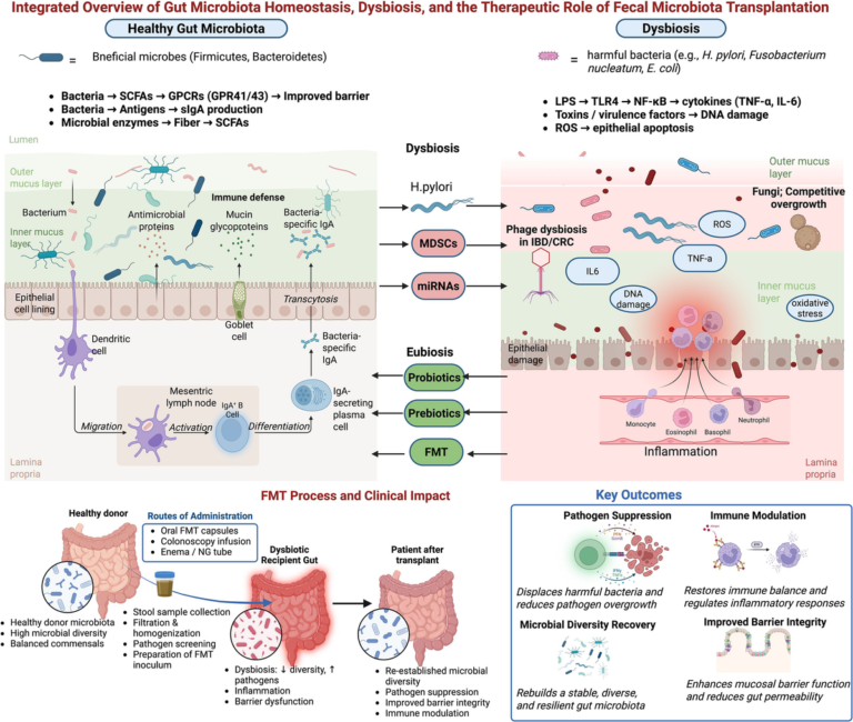 Frontiers | Gut microbiota modulation in gastrointestinal disorders: current evidence and therapeutic perspectives Frontiers | Gut microbiota modulation in gastrointestinal disorders: current evidence and therapeutic perspectives