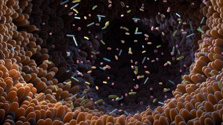 Babies’ gut bacteria may influence future emotional health Babies’ gut bacteria may influence future emotional health