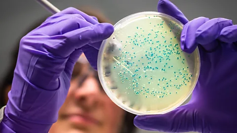 Getty Images If we can tweak or even replace the microbiota of patients with chronic sleep problems, it may provide a new way of treating them (Credit: Getty Images)