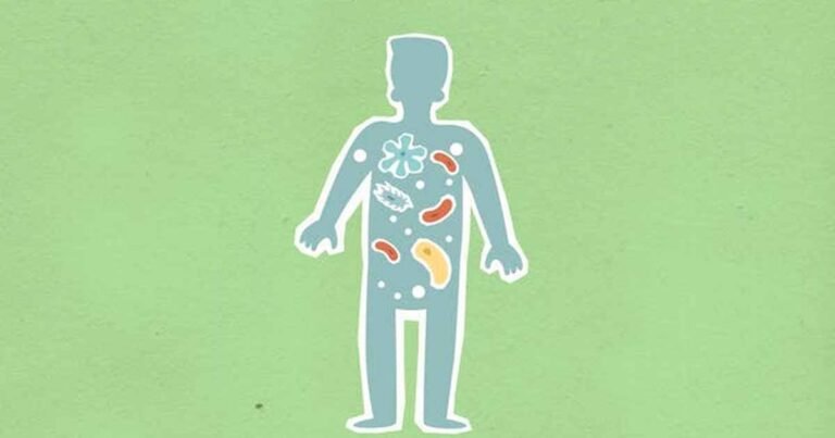 Rethinking the Gut Microbiome: Health Is Not About Staying the Same