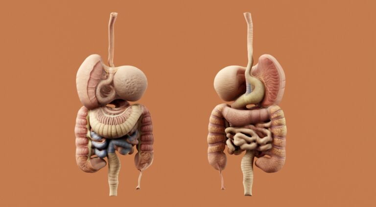 Gut Bacteria Flag Type 2 Diabetes Years Early: What Your Fiber Intake Determines