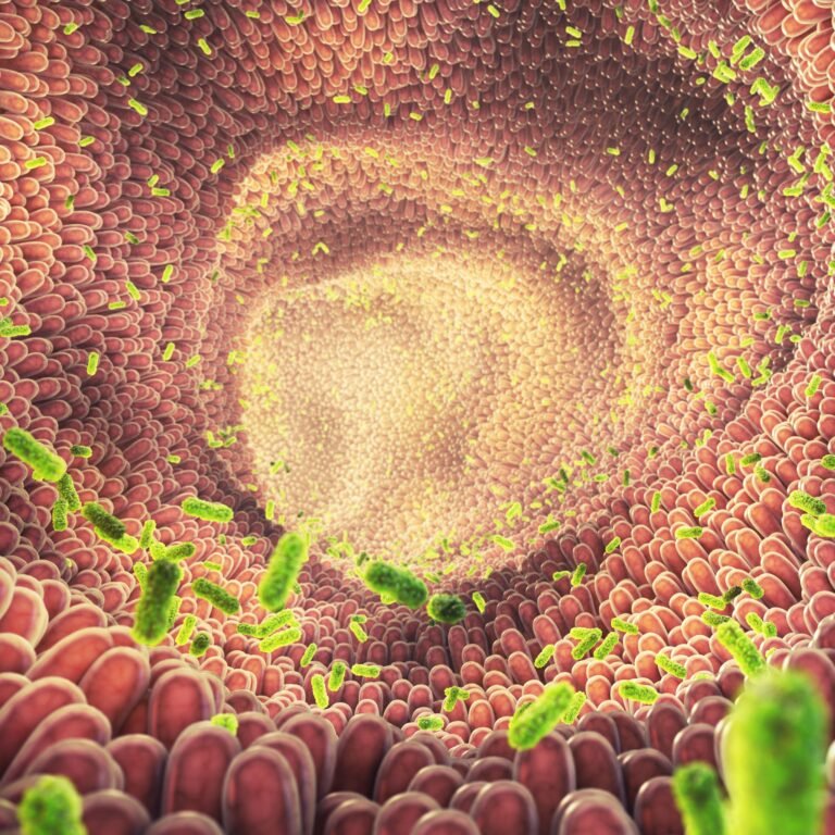 Gut health in modern poultry production: Unlocking the power of the microbiome in Asian production system