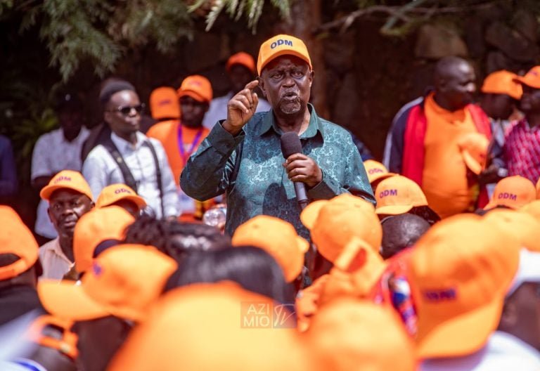 Oburu: Ruto’s Beyond Vision 2030 agenda was Raila’s idea