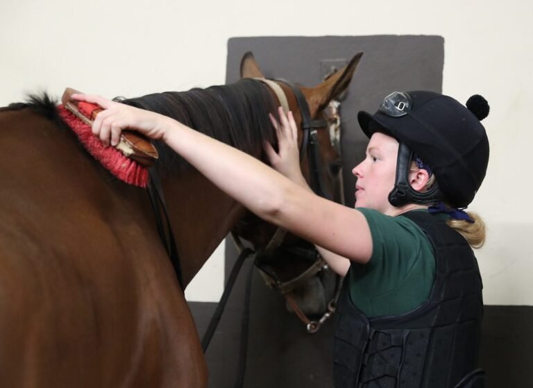 Equuip Webinar to Address Mental Health and Wellbeing in Irish Racing