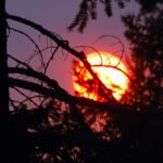 Wildfire smoke prompts another air quality alert