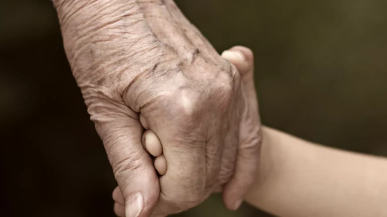 Frontiers | Dietary pyrroloquinoline quinone and spermidine in healthy longevity: targeting the hallmarks of aging Frontiers | Dietary pyrroloquinoline quinone and spermidine in healthy longevity: targeting the hallmarks of aging