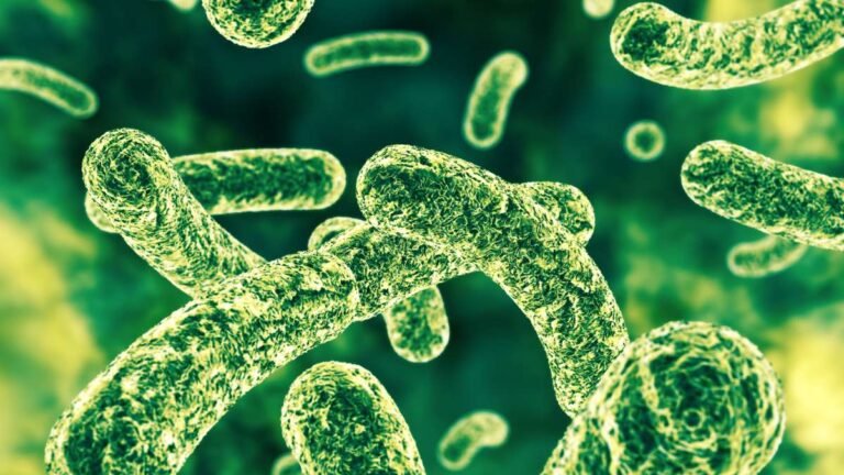 Don't waste money on gut microbiome tests