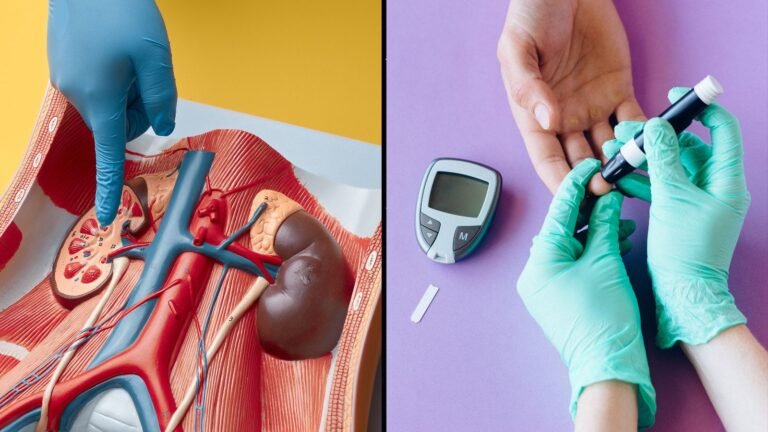 Your kidneys do more than filter waste: Here’s how they help control blood sugar Your kidneys do more than filter waste: Here’s how they help control blood sugar