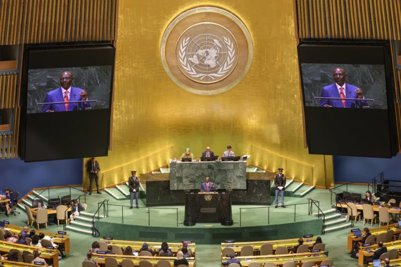 What permanent seat at UN Security Council mean for Africa