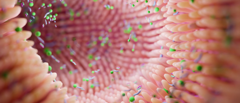 Gut bacteria molecule boosts lung cancer immunotherapy response