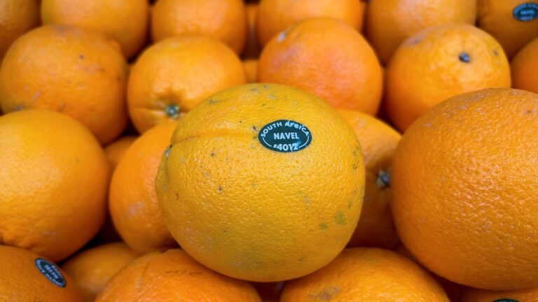 Jaume Fontanals, gut microbiome expert: “Orange juice isn’t always a healthy choice; 250ml contains six teaspoons of sugar”