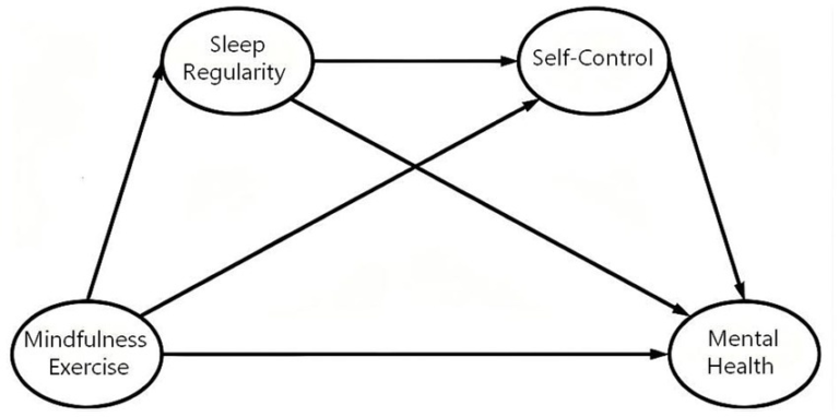 Frontiers | Mindfulness exercise and mental health among university students: the sequential mediating roles of sleep regularity and self-control Frontiers | Mindfulness exercise and mental health among university students: the sequential mediating roles of sleep regularity and self-control
