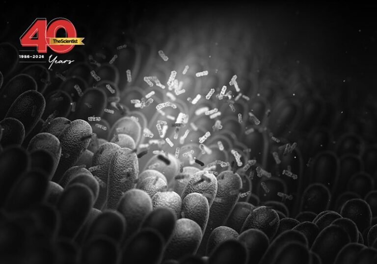 A Microbial Milestone: The Human Microbiome Project | The Scientist A Microbial Milestone: The Human Microbiome Project | The Scientist