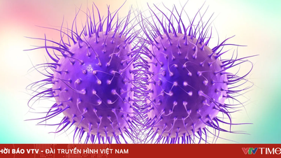 Meningococcal disease: The silent killer and the race against time.