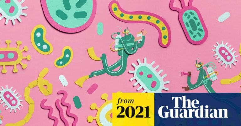 Unlocking the ‘gut microbiome’ – and its massive significance to our health