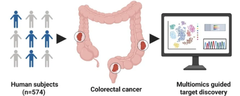 USF Health, Tampa General Study Finds Cancer's Immune Defenses May Start Outside Tumor Cells