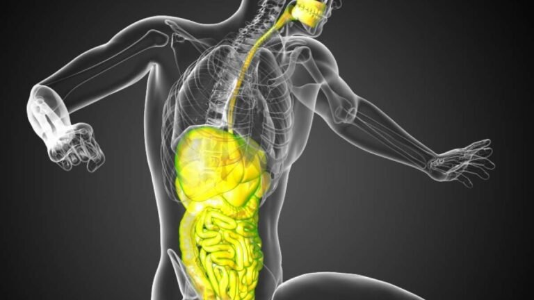 New microbiome research reveals exercise may impact gut physiology