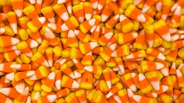 What Does Halloween Candy Do to Your Gut Microbiome? What Does Halloween Candy Do to Your Gut Microbiome?