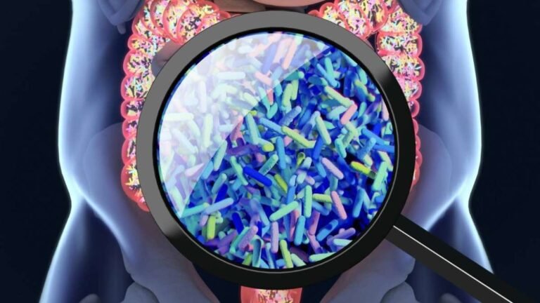 Resetting gut microbiome is a long-term project Resetting gut microbiome is a long-term project