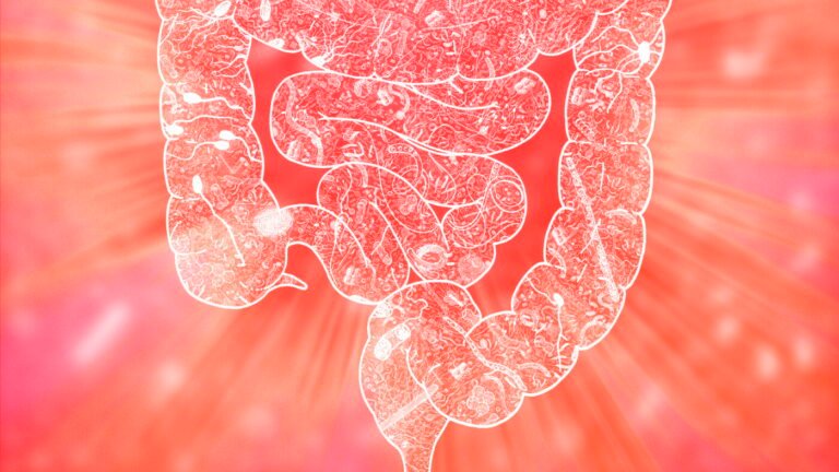 Your gut microbes may influence how you handle stress