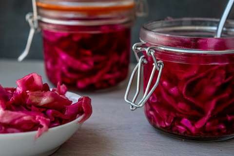 Fermented foods article