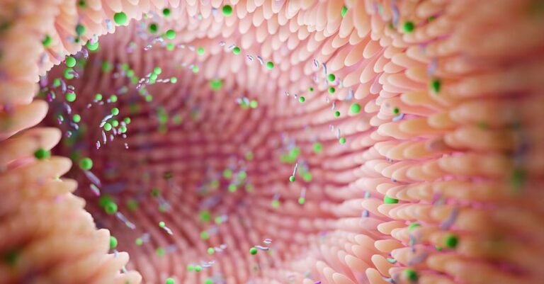 Alzheimer’s: the risk lies along the gut-brain axis – here’s what the microbiota conceals