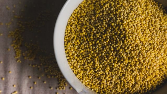 Could Biofortified Millet Help Children’s Gut Health? Could Biofortified Millet Help Children’s Gut Health?